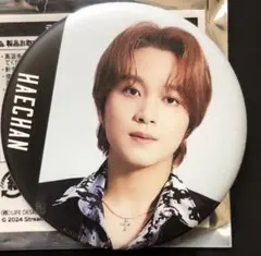 ヘチャン  缶バッジ   POP UP  NCT127