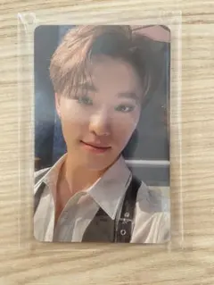 seventeen Dream 会場限定 ディノ