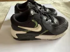Nike Air Max スニーカー 16cm