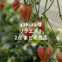 sakura様 リクエスト 2点 まとめ商品