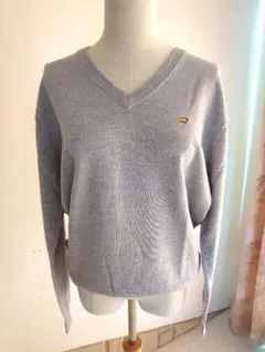 ゴールデンベア　メンズVネックセーター