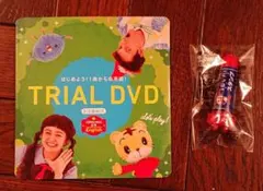 こどもチャレンジ ぷち イングリッシュ サンプルDVD、スタンプ