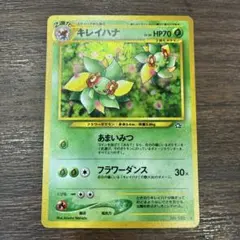 2026年最新】キレイハナ 旧の人気アイテム - メルカリ