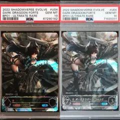 2026年最新】エボルヴ フォルテ urの人気アイテム - メルカリ