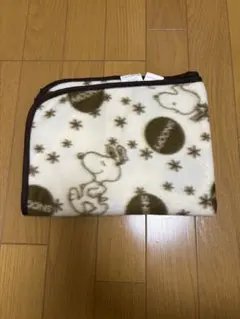 Item thumbnail for item f4f981d3-5c4a-4b34-959a-1839f7f2130c