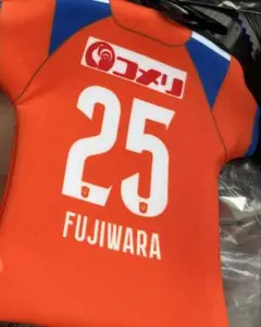 アルビレックス新潟　藤原奏哉　ネオプレーンケース