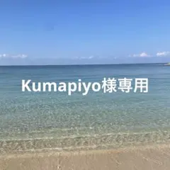 【Kumapiyo様専用】クリアカバー　海のiPhone14proケース
