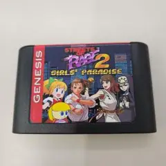 ストリート・オブ・レイジ２ ガールズパラダイス