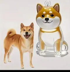 sns話題、うちの子けだまだま風　キーホルダー。柴犬