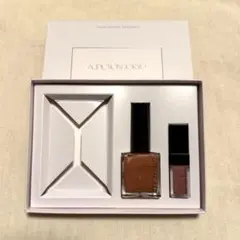 【新品未使用】ADDICTION アディクション ネイル ミニリップ ホリデー