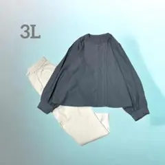 美品　ルイルエブティック　カットソー　タックブラウス　３Ｌ　希少サイズ