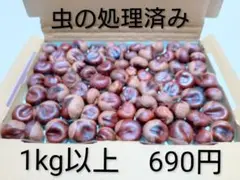 栃の実