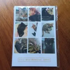 2PM ジュノ JUNHO ジャニー&ウォリBOOK - メルカリ