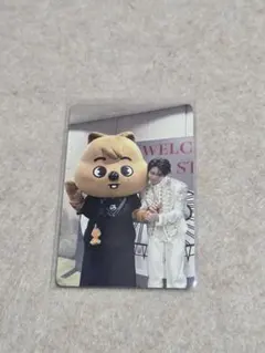 straykids domainATE 楽天 購入特典 両面トレカコンプセット - メルカリ