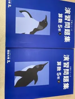 四谷大塚　予習シリーズ　算数5年上下　演習問題集