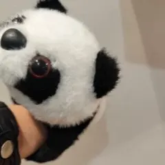 Item thumbnail for item f47efc1b-395b-4987-b3e2-f005e55ca610