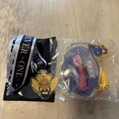 ELLY コイルチェーンストラップ&ネックストラップセット