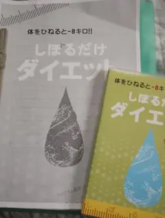 しぼるだけダイエット　DVD2枚 +説明書