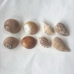 Item thumbnail for item a739d079-64fb-44a5-af0f-aaf97f209522