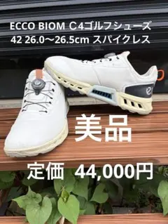 2026年最新】eccoゴルフシューズ 42の人気アイテム - メルカリ