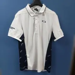 Item thumbnail for item b5610c6d-3c03-45cb-8efc-1de4b5ff394c