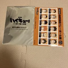 劇場版ハイキュー!! ゴミ捨て場の決戦 選手名鑑風ブロマイド