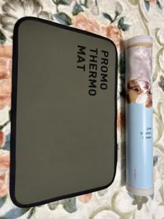 Item thumbnail for item 065331b8-a15a-4bb8-9f2e-8bad2bbe15fb