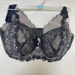 Item thumbnail for item d3e5e3e4-a447-4441-9f4f-ef1144a7b4ee