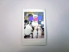 合馬公式アカウント1様専用