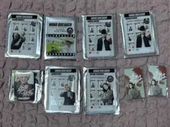 映画　実写版　WIND BREAKER ウィンドブレーカー　まとめ売り