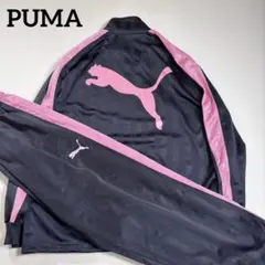 PUMA プーマ ジャージ セットアップ ピンク ビッグロゴ 日本製 プージャー