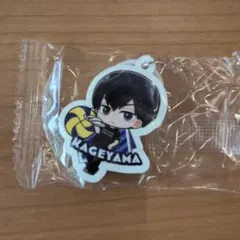 影山 飛雄 めじるしチャーム くら寿司 コラボ