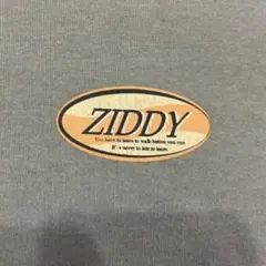 ZIDDY ジディ　長袖　tシャツ 女の子　水色のサムネイル