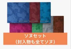 ENHYPEN THE SIN : VANISH ソヌセット