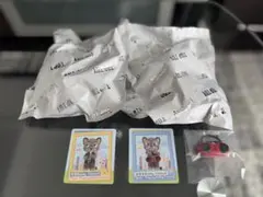 TOPTOY ズートピア チャイルドフッドフォトスタジオ ボビー・キャットマル