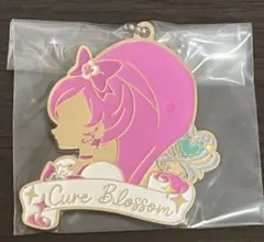 一番くじ 「プリキュア」F賞 シルエットメタルチャーム