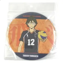 ハイキュー！！ ゴミ捨て場の決戦 山口忠 BIG 缶バッジ