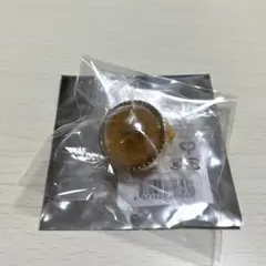 セカライ　リングライト　司