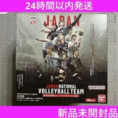 新品未開封品　バレーボール 男子日本代表 ツインウエハース 2026 1箱20袋