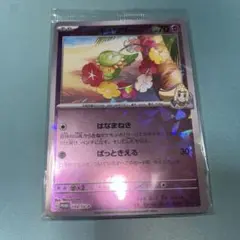 バトルパートナーズ　コレクションファイルセット リーリエのキュワワー　プロモ