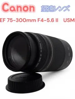 5月27日限定販売✨【超望遠レンズ】Canon EF 75-300mm Ⅲ - メルカリ