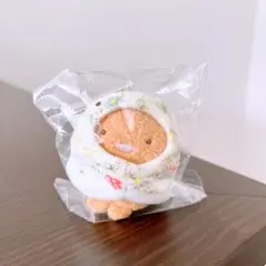 すみっコぐらし フランシュリッペ とかげ てのりぬいぐるみ - メルカリ