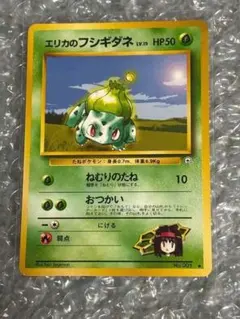 2025年最新】エリカのフシギダネの人気アイテム - メルカリ