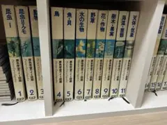 2026年最新】学研 原色ワイド図鑑の人気アイテム - メルカリ