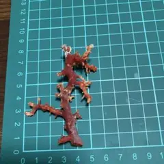 天然ピンク珊瑚/枝/置物/オブジェ/美術品／ホビー/コレクション Zー 