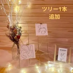 ウェルカムスペース ミールヘーデン風 自立フレームお得セット