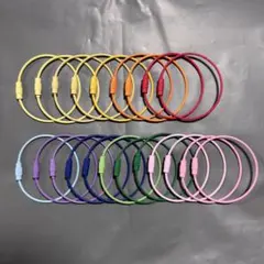 ワイヤーキーホルダー　ワイヤーキーリング　ワイヤーリング　カラビナ　ラゲッジタグ