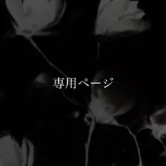 専用ページ