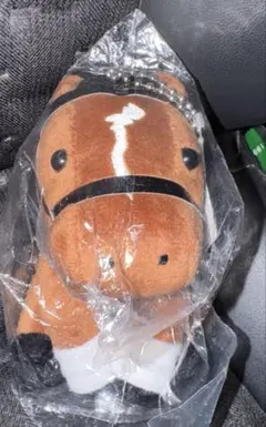 Item thumbnail for item baf8ced0-5c6b-4838-8d81-f3b004a3e964