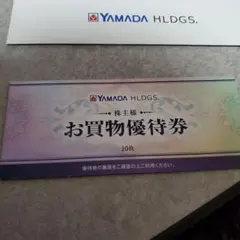 ヤマダ電機. 株主優待券 10枚